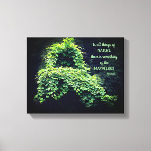 Beauty in nature Vines inspirational Quote Canvastryck