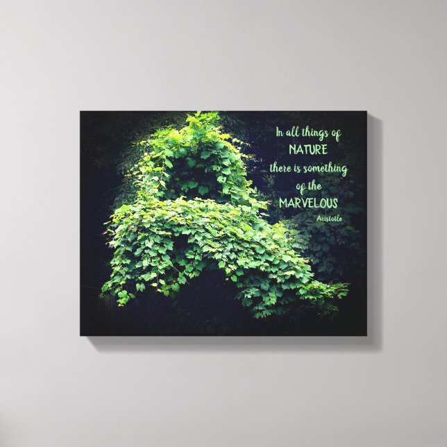 Beauty in nature Vines inspirational Quote Canvastryck (Framsida)