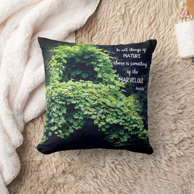 Beauty in nature Vines inspirational Quote Kudde (Filt)