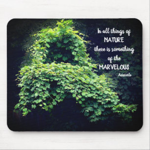 Beauty in nature Vines inspirational Quote Musmatta
