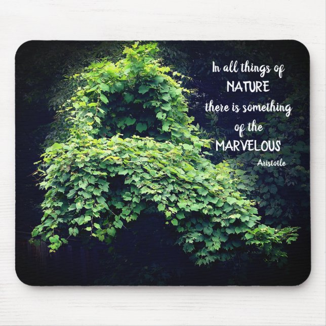 Beauty in nature Vines inspirational Quote Musmatta (Framsidan)