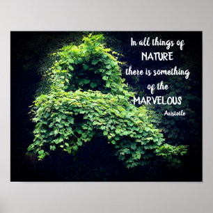 Beauty in nature Vines inspirational Quote Poster