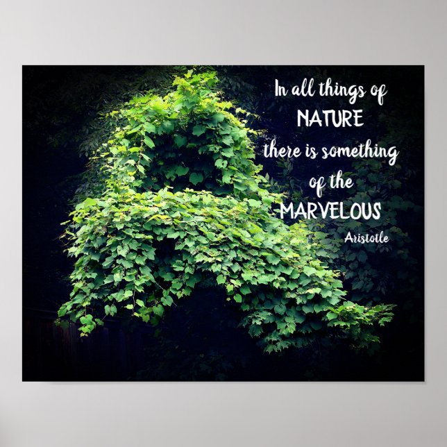 Beauty in nature Vines inspirational Quote Poster (Framsidan)