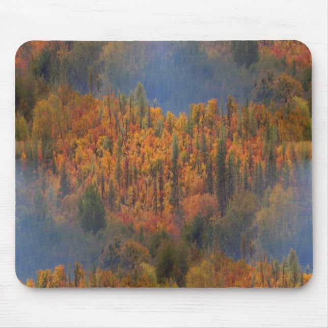 Beauty in the Fall... Musmatta (Framsidan)