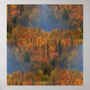 Beauty in the Fall... Poster