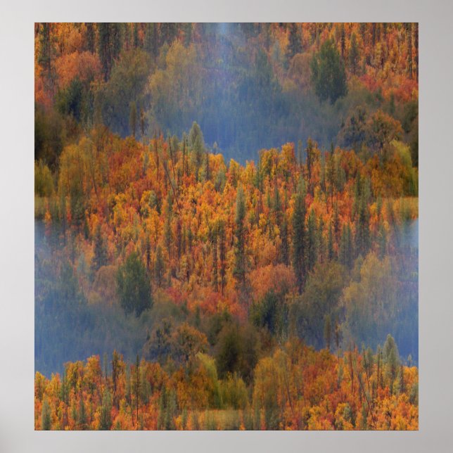 Beauty in the Fall... Poster (Framsidan)