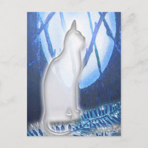 Beauty in White Postcard Vykort