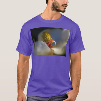 Beauty inom t shirt