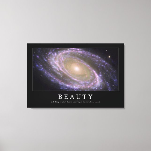 Beauty: inspirationsoffert 2 canvastryck (Framsida)