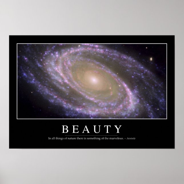 Beauty: inspirationsoffert 2 poster (Framsidan)