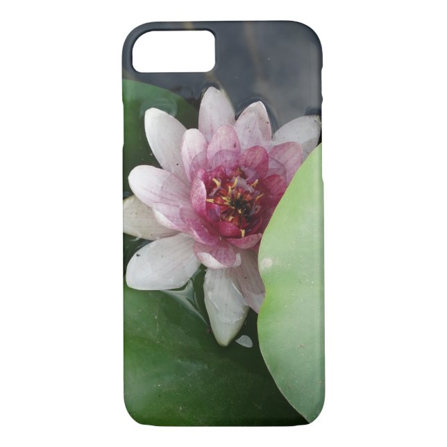 Beauty iPhone/iPad-fall Case-Mate iPhone Skal (Baksida)