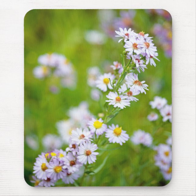 Beauty Line Mousepad Musmatta (Framsidan)
