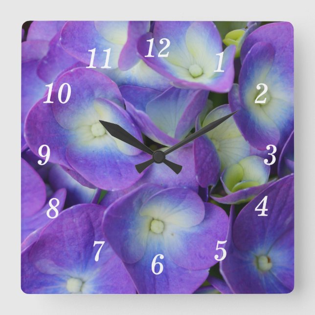 Beauty of a Blue Hydrangea Wall Clock Fyrkantig Klocka (Framsida)