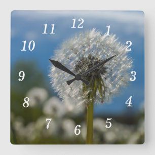 Beauty of a Dandelion Wall Clock Fyrkantig Klocka