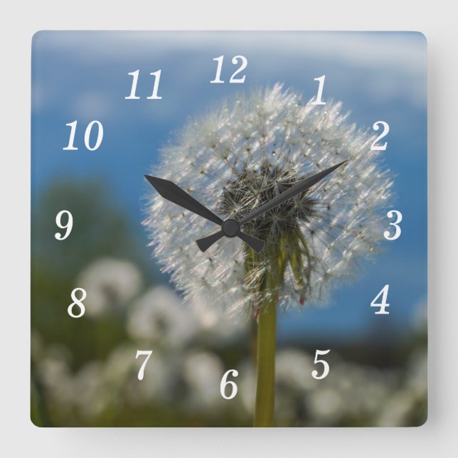 Beauty of a Dandelion Wall Clock Fyrkantig Klocka (Framsida)