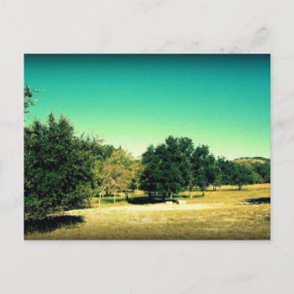 Beauty of Bandera Texas Postcard #2 Vykort