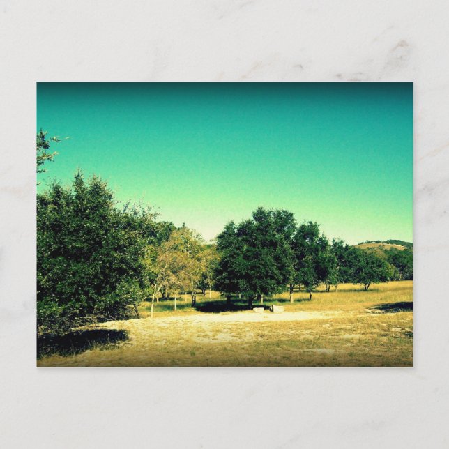 Beauty of Bandera Texas Postcard #2 Vykort (Framsida)