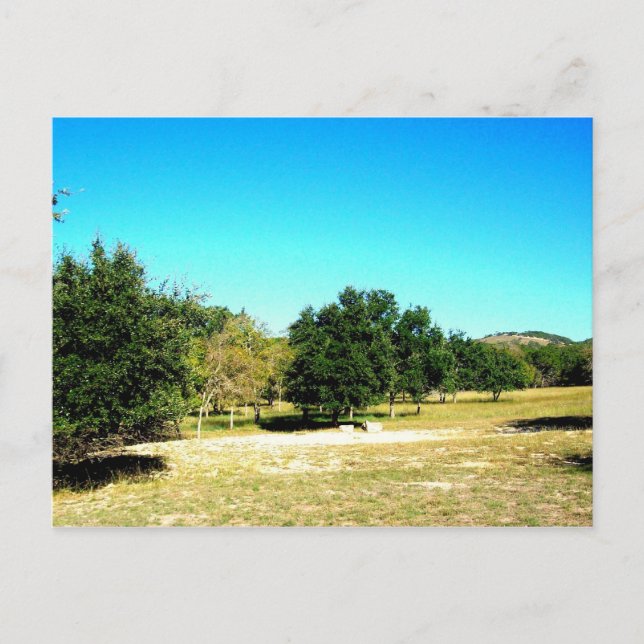 Beauty of Bandera Texas Postcard Vykort (Framsida)
