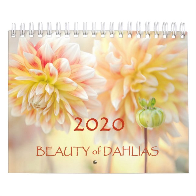 Beauty of Dahlias Flowers 2020 Calendar Kalender (Omslag)