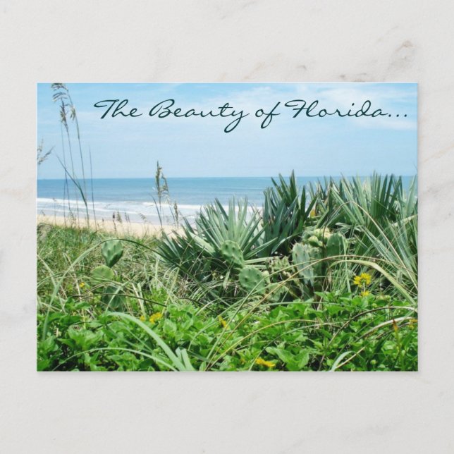 Beauty of Florida Postcard/Beach Postcard Vykort (Framsida)