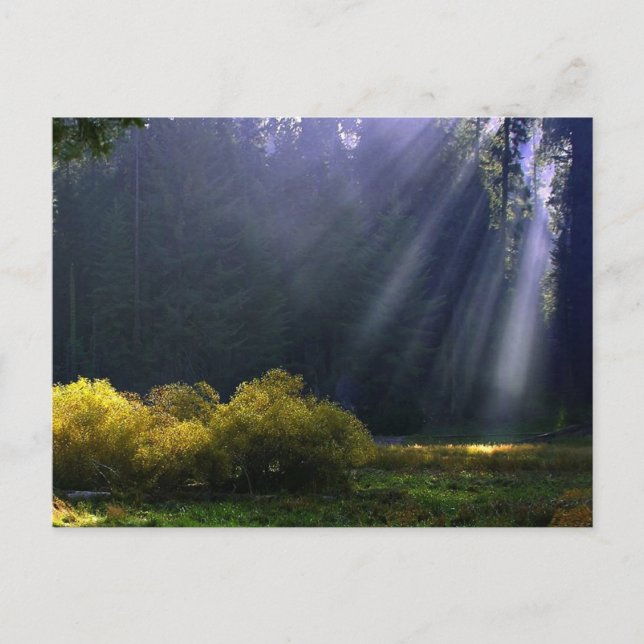 Beauty of Mor Nature Vykort (Framsida)