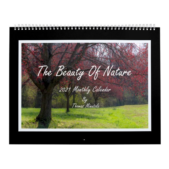 Beauty of Nature 2021 Calendar Kalender (Omslag)