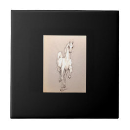 Beauty of Power . . . Kakelplatta