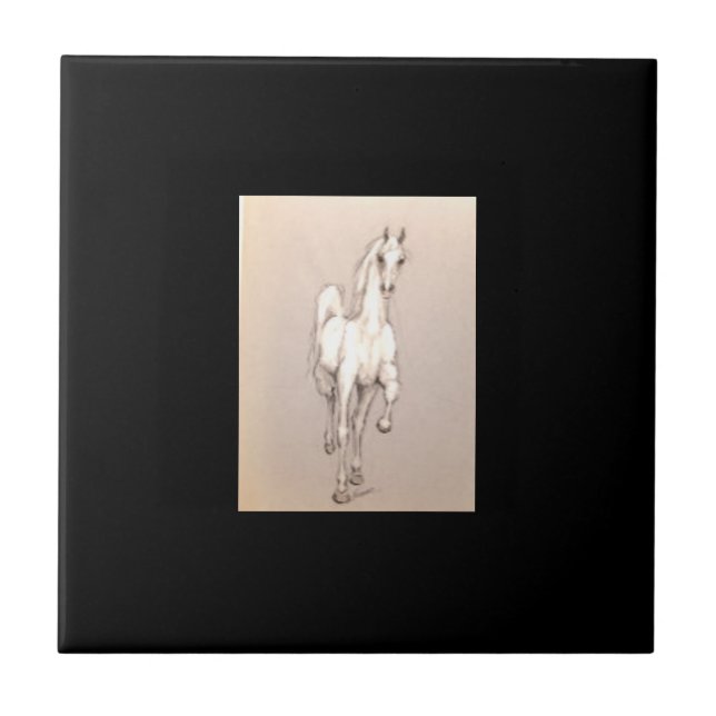 Beauty of Power . . . Kakelplatta (Framsidan)