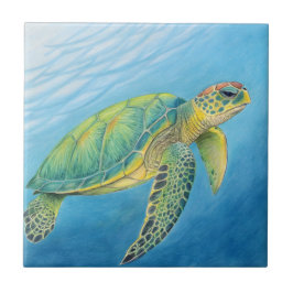 Beauty of the turtle kakelplatta