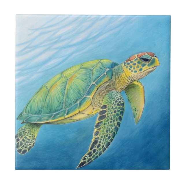 Beauty of the turtle kakelplatta (Framsidan)