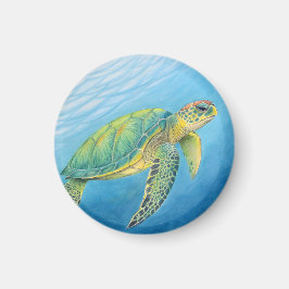 Beauty of the turtle magnet