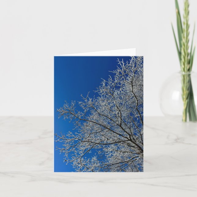 Beauty of Winter Greeting Card Helgkort (Framsida)