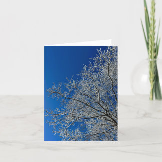 Beauty of Winter Greeting Card Helgkort