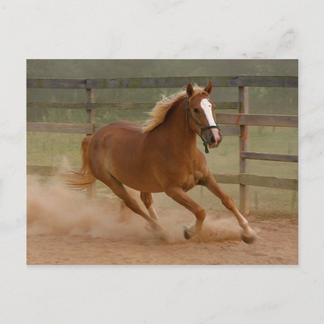 Beauty Postcard Vykort (Framsida)