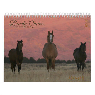 "Beauty Queens" MustangWild 2026 Calendar  Kalender