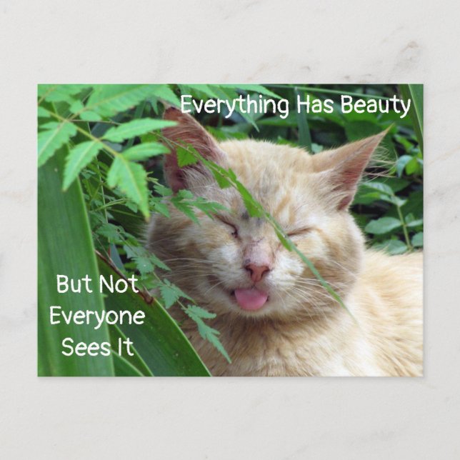 Beauty Quote Postcard - Starring Beast - Cat Vykort (Framsida)