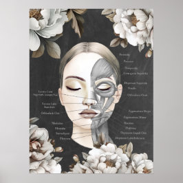 Beauty Salon Face Muscle Anatomy Decor Poster