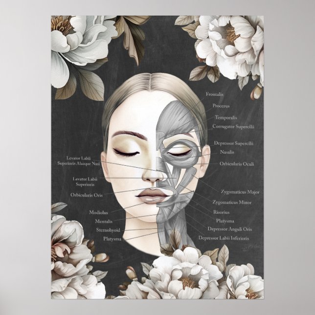 Beauty Salon Face Muscle Anatomy Decor Poster (Framsidan)