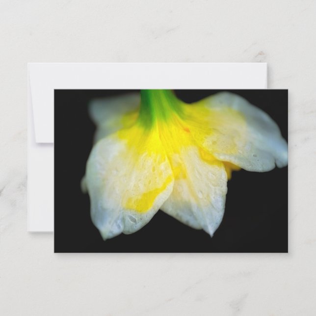 Beauty Underneath Tack Kort (Framsida)