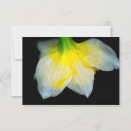 Beauty Underneath Tack Kort