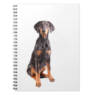 beautyful dobermanpinscher anteckningsbok