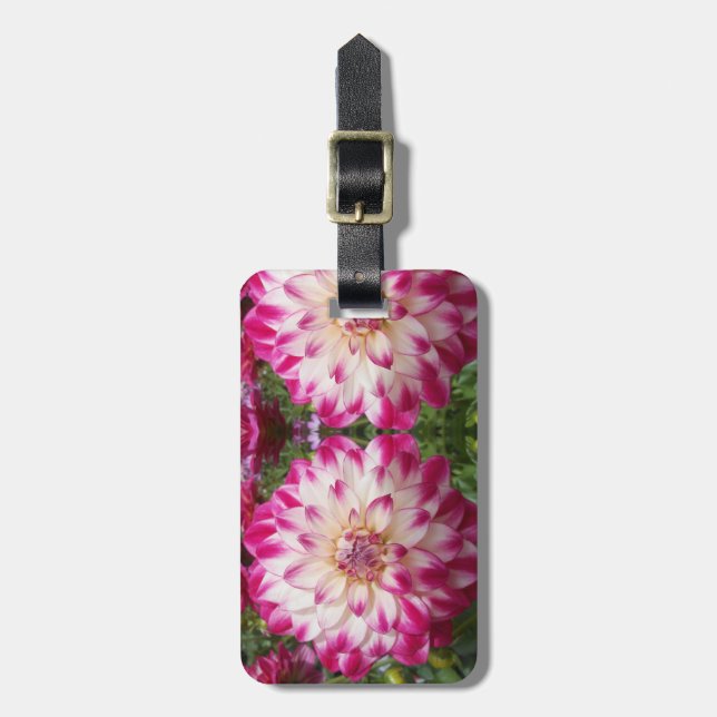 Beaux Bagagebricka (Vertikal Framsida)