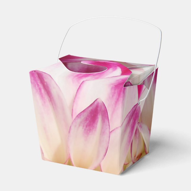 Beaux Presentaskar (Framsidan Sidan)