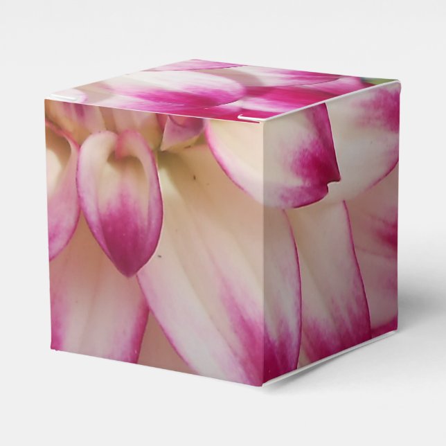Beaux Presentaskar (Framsidan Sidan)