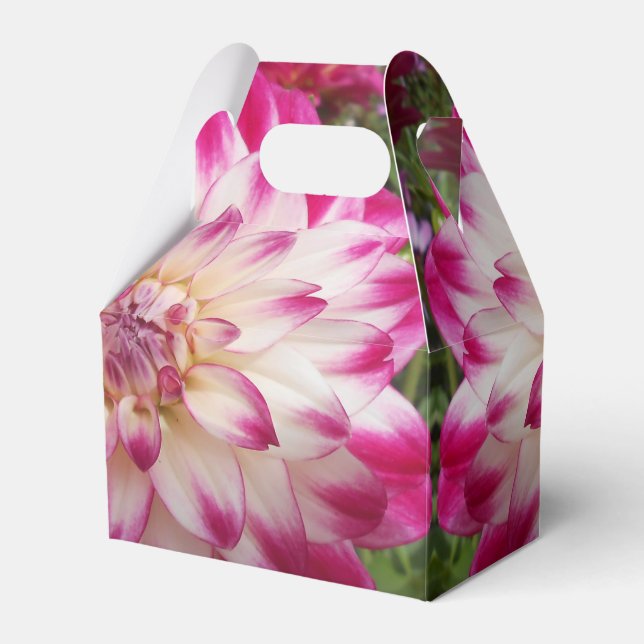 Beaux Presentaskar (Framsidan Sidan)