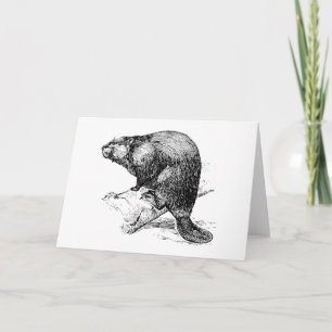 Beaver #1 kort