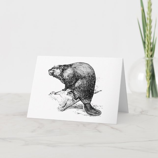 Beaver #1 kort (Framsida)
