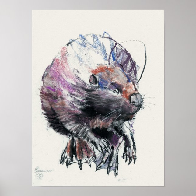 Beaver 2001 poster (Framsidan)