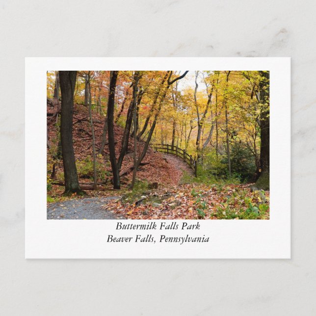 Beaver Falls Pennsylvania Vykort (Framsida)