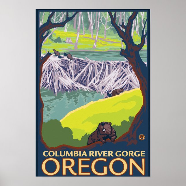 Beaver Family - Columbia River Gorge, Oregon Poster (Framsidan)